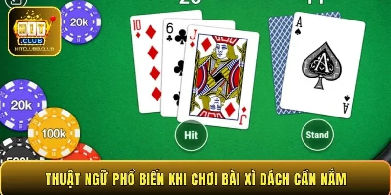 Thuật ngữ phổ biến khi chơi bài Xì Dách cần nắm